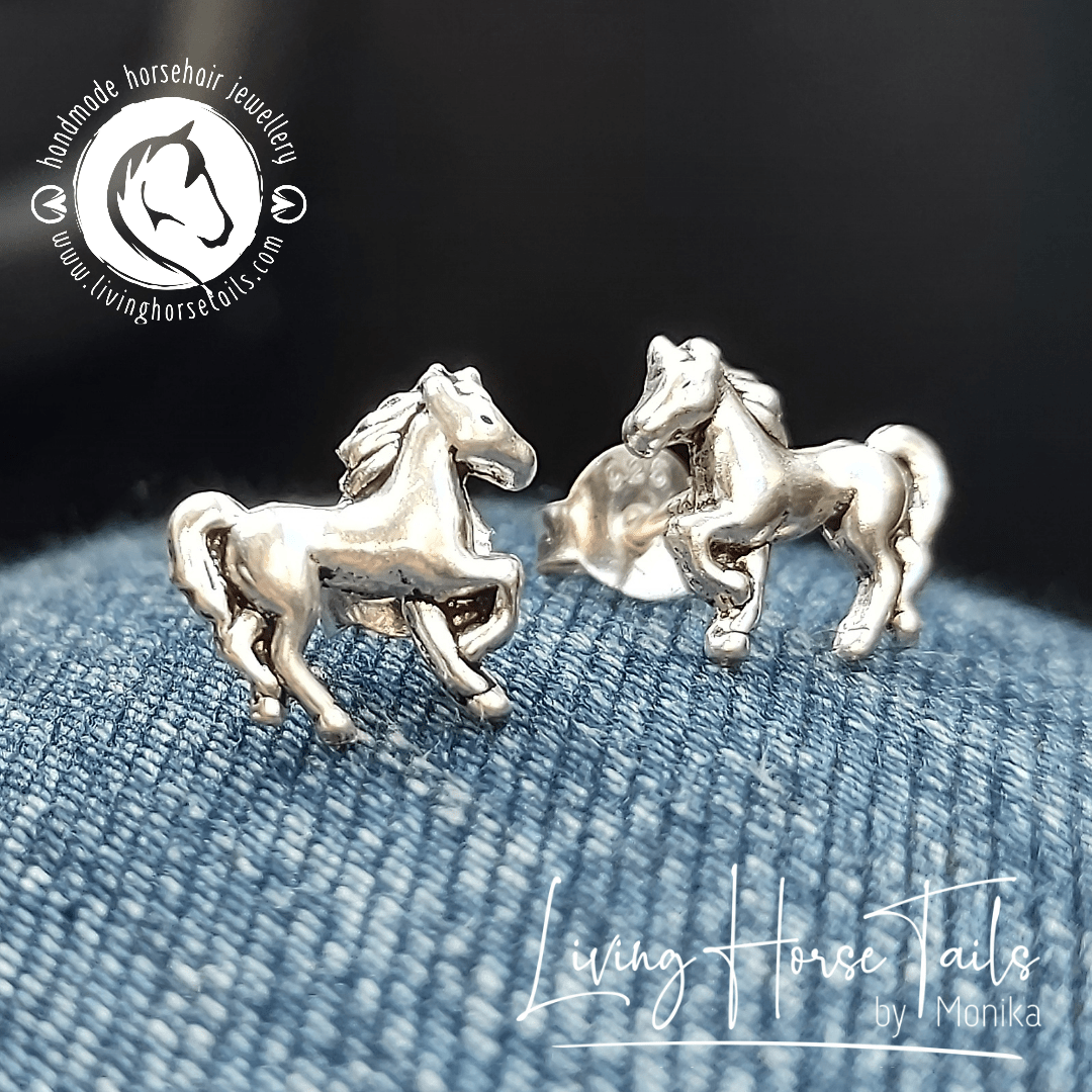 Sterling Silver Stock Tie Pin with Horseshoe and Horsehair Insert – Living  Horse Tails Jewellery by Monika